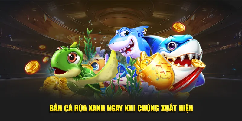Bắn cá rùa xanh ngay khi chúng xuất hiện